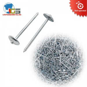 Galvanized Hardware Nails in bulk, customized for large quantity, 2/2.5Inch Size