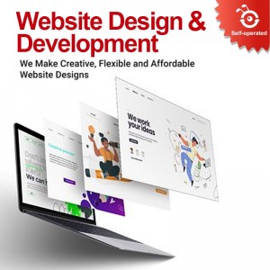 WEB Design and Development (Professional Team)