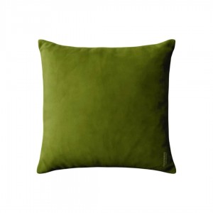 Fancy pillow