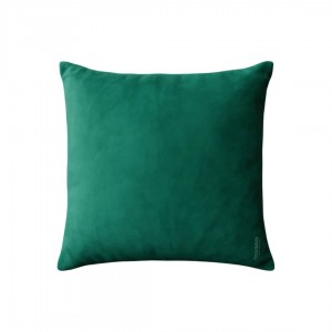 Fancy pillow