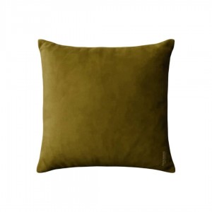 Fancy pillow