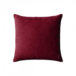 Fancy pillow