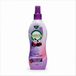 Fresh oh!  Air freshener