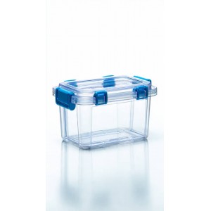 Transparent food container