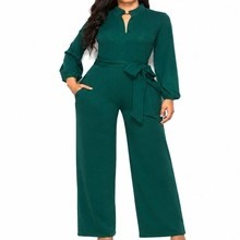 Elegant Suit Collar jumpsuit
